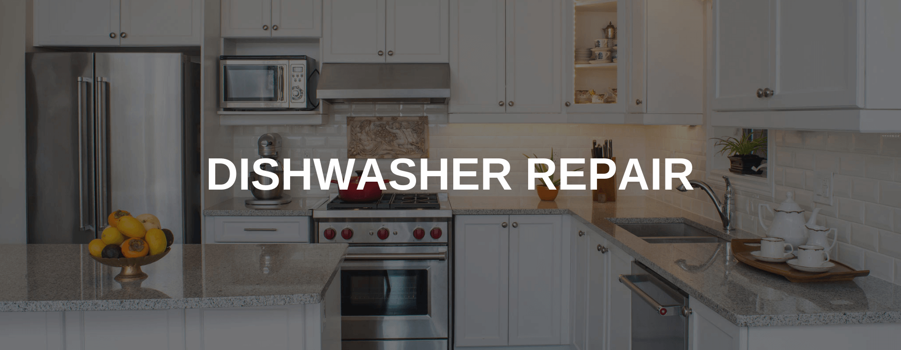 dishwasher repair parma